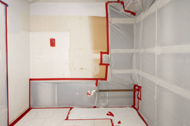 Mold Odor Removal Services in Thorndale, PA